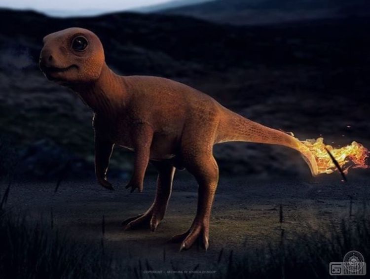 现实世界里有各种各样的宝可梦,真实世界的宝可梦长什么样