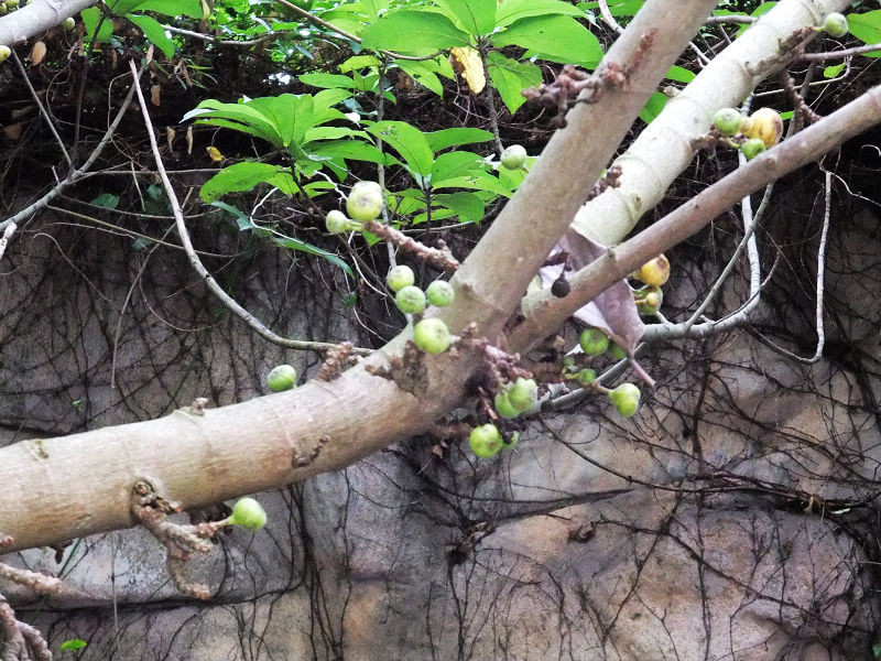 穷驴旅游,港囧游香港