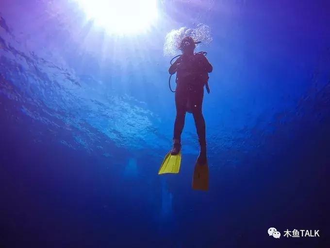 巴厘岛游玩必备攻略,巴厘岛游玩攻略最佳时间