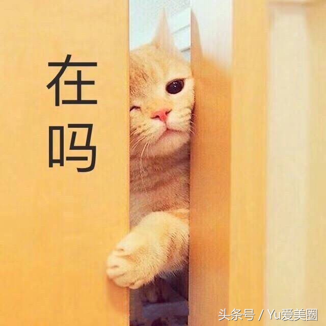 十大公认好用的粉底液优缺点,不要再被这几种护肤品骗了