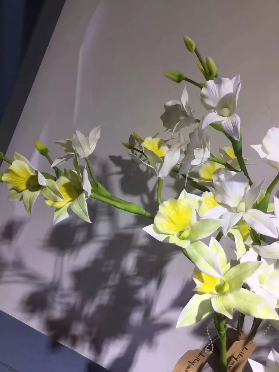 仿真花贵还是真花贵,仿真花贵还是鲜花贵