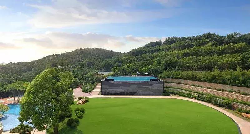 厦门某香港营销总与老板对赌，输了就从115米顶楼“崩极”下去