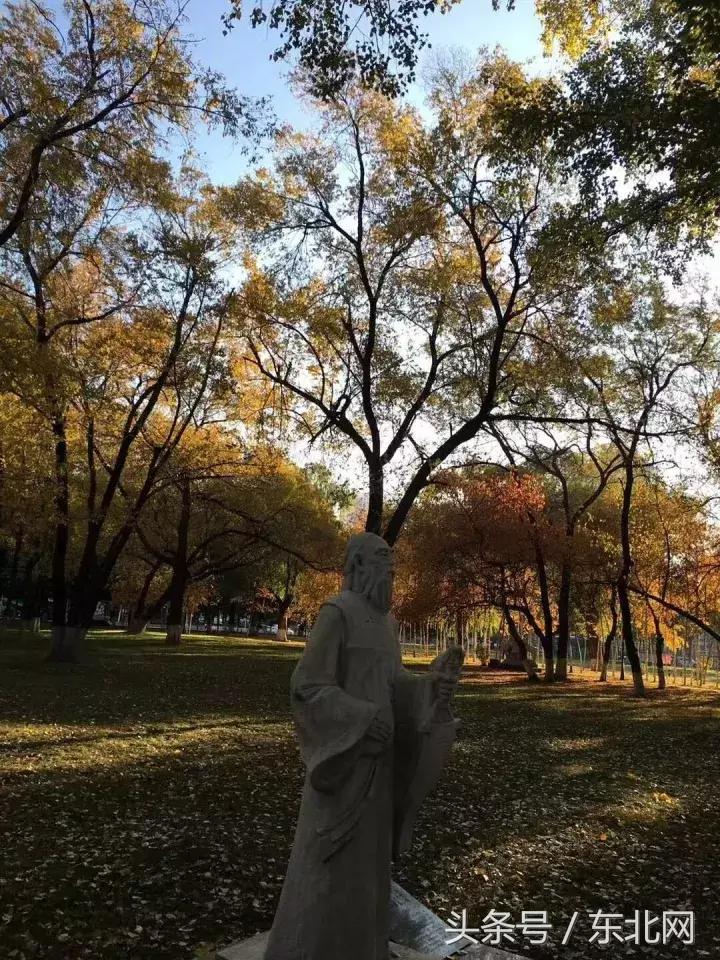 哈尔滨高校打卡,哈尔滨的风向标著名打卡地