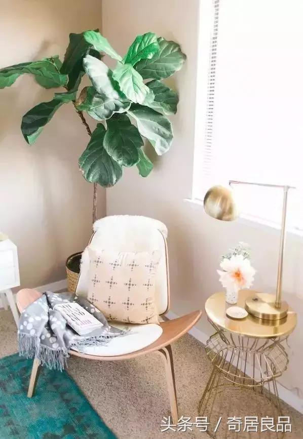 这10件小事，让我在秋日的家里更幸福！