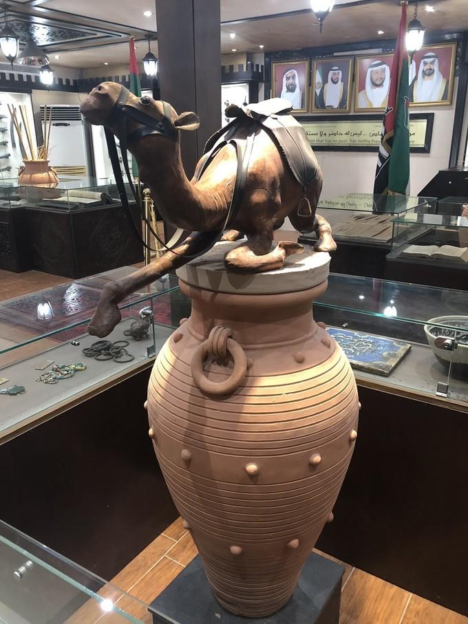 阿联酋沙漠之旅骑着骆驼去旅行,记录一次说走就走的阿联酋迪拜游