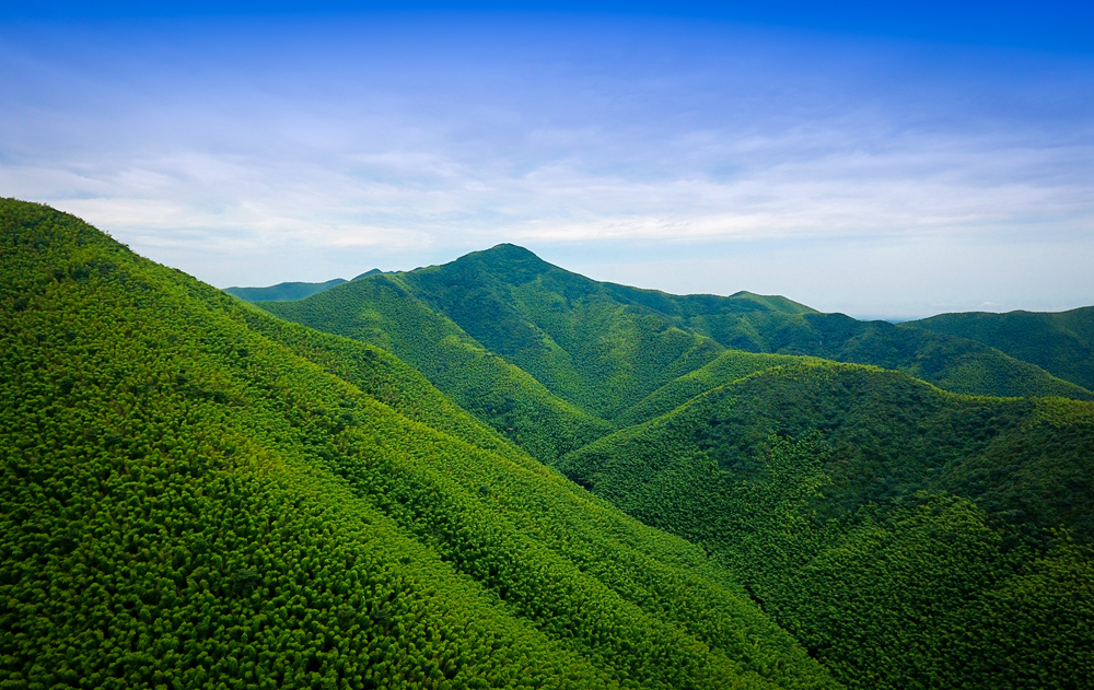 宜兴竹海的风景,推荐一个好的地方宜兴竹海