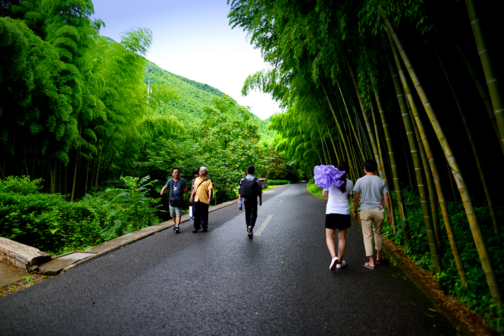 宜兴竹海的风景,推荐一个好的地方宜兴竹海