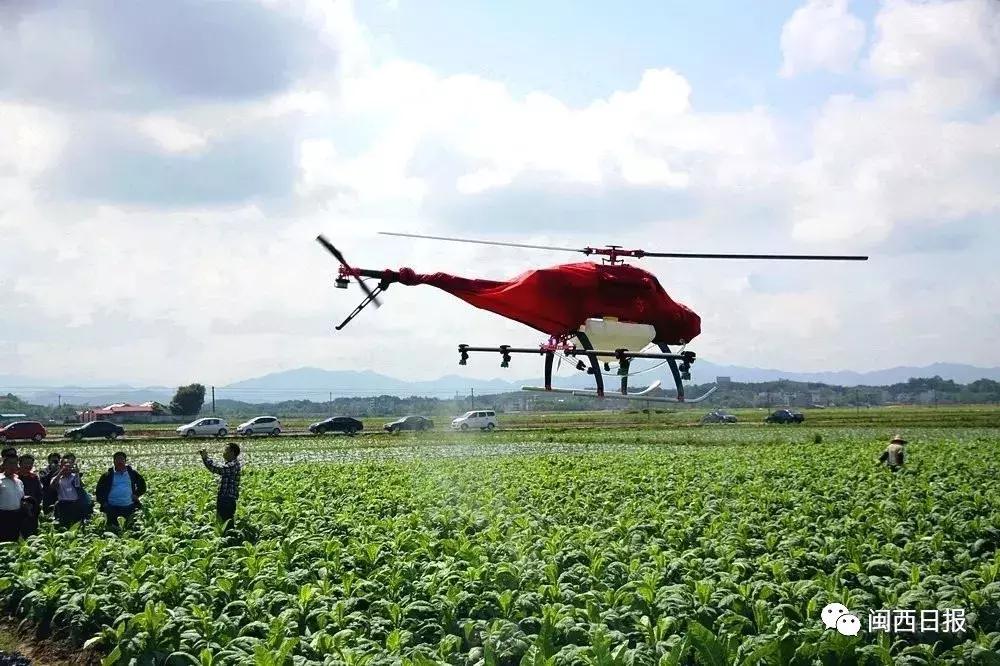 龙岩这个“生态粮仓”美翻了，还是中科院研究基地！