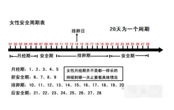 备孕女生排卵期过后应该注意啥,备孕期间过了排卵期应该注意什么