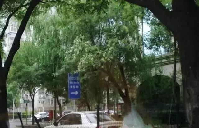 北太平庄在哪里,北太平庄地理位置