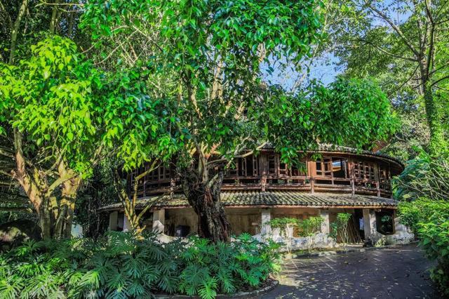 鑽疯姳鍙ら晣鑵惧啿,鑵惧啿鑽疯姳鍙ら晣