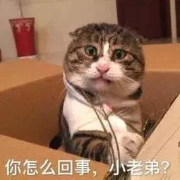 为什么网恋男友就是不给看照片,粉丝求助男票