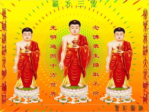 顶礼高僧大德南无阿弥陀佛,南无阿弥陀佛随喜赞叹佛光普照