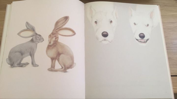 绘本启蒙读物推荐,适合34岁孩子阅读的8本绘本推荐