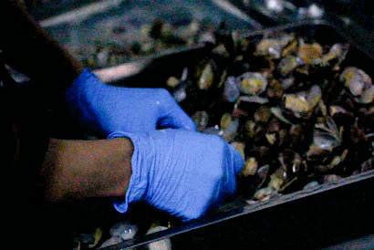 正宗望京小腰在哪里,望京小腰北京老店