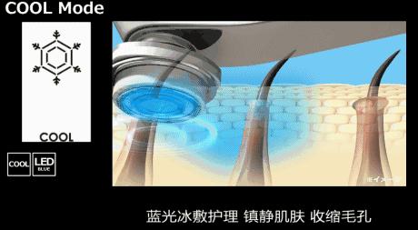 职场小白会如何被欺负,从被欺负的大学生到老总