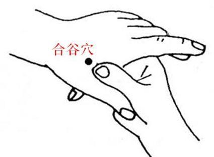 头晕心悸的中药处方,心慌心悸按揉哪个穴位缓解