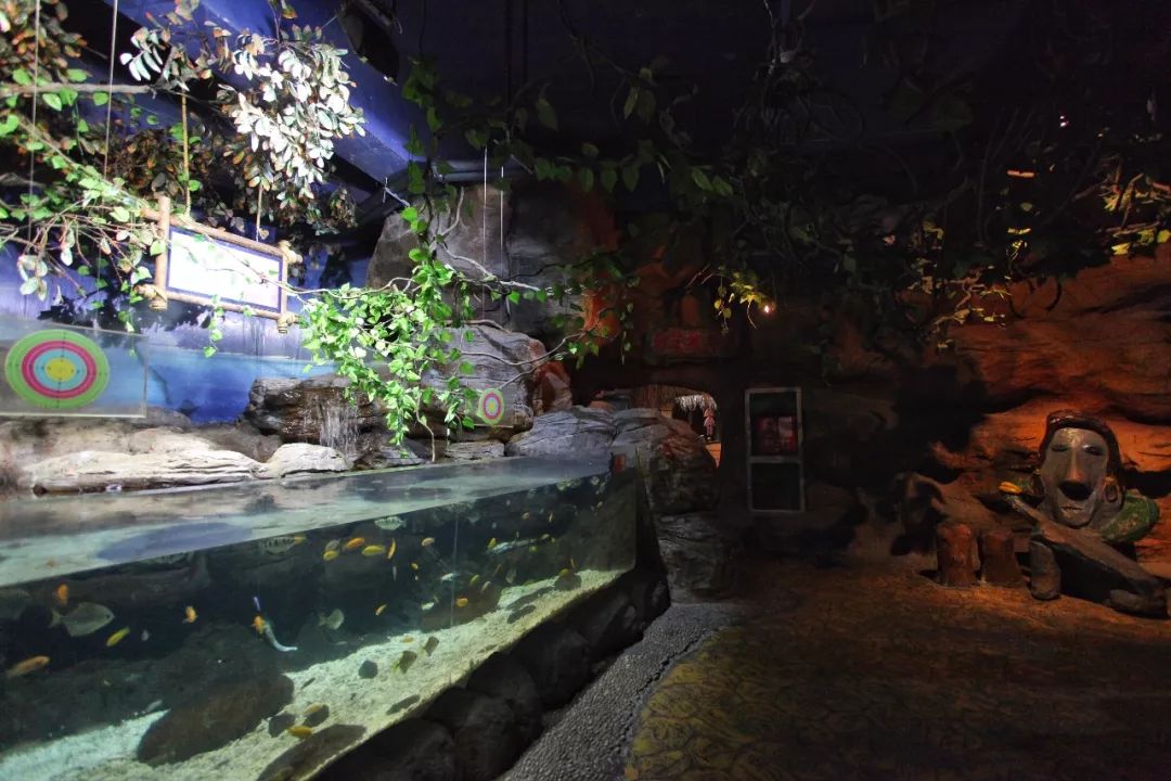 没有人来人往的城市,没有人山人海的地方