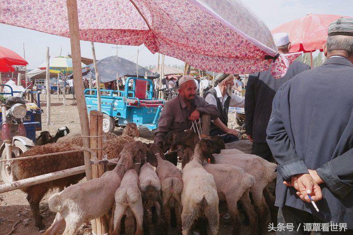 令人大开眼界的车,喀什牛羊大巴扎有意思吗