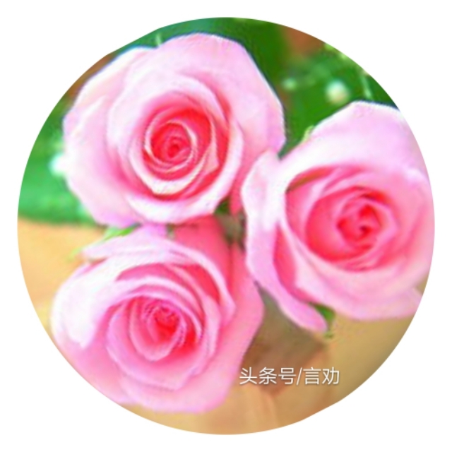 做个真正的蓝颜知己,讲解蓝颜知己