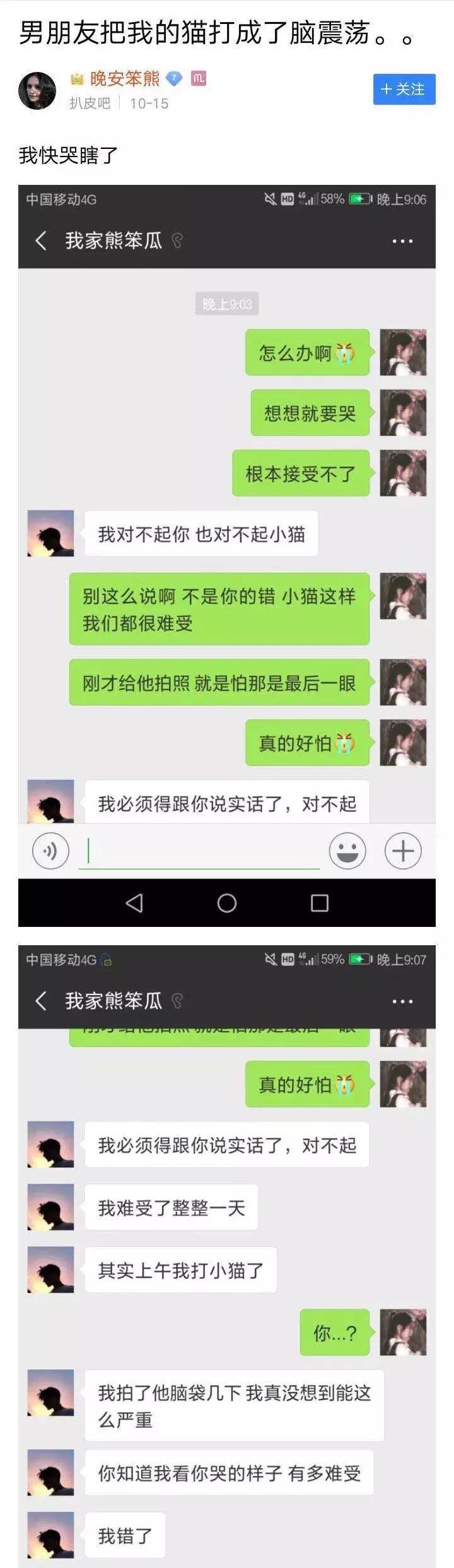 男朋友把猫打了一顿扔出去了,男朋友打我养的猫怎么办