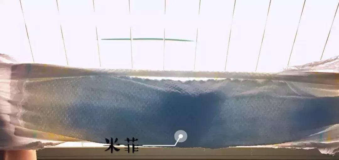 30款拉拉裤,30款拉拉裤深度测评