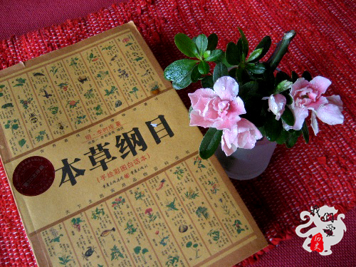 明朝那些事儿中震撼的文字,明朝那些事儿里的精彩片段