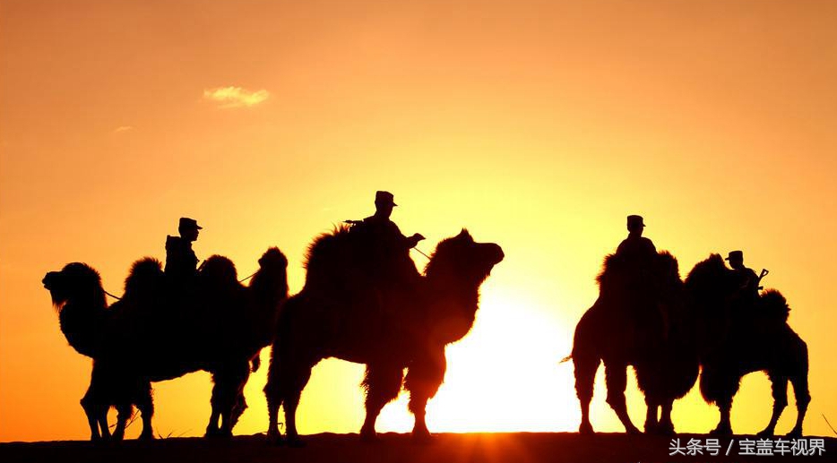 军营“驼倌”对“蒙古族养驼习俗”的亲身感受