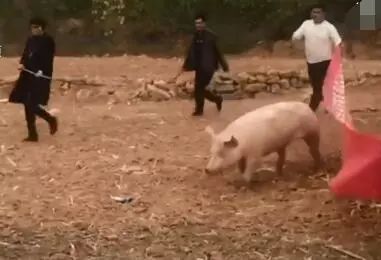 河南驾考计时培训,河南驾校增加了什么