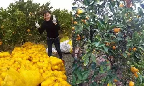 大叔为钓鱼买下一座岛,40岁大叔100块改造房间