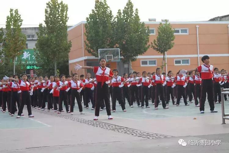 临沂市小学语文课堂教学专题,小学语文阅读研讨会评课