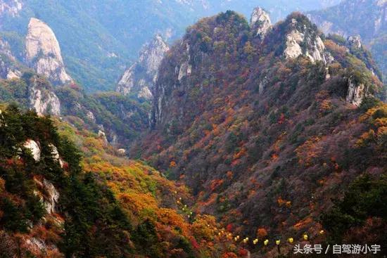 河南省赏红叶一日游,河南省秋天红叶最佳去处