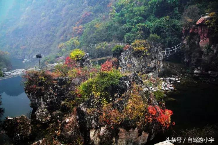 河南省赏红叶一日游,河南省秋天红叶最佳去处