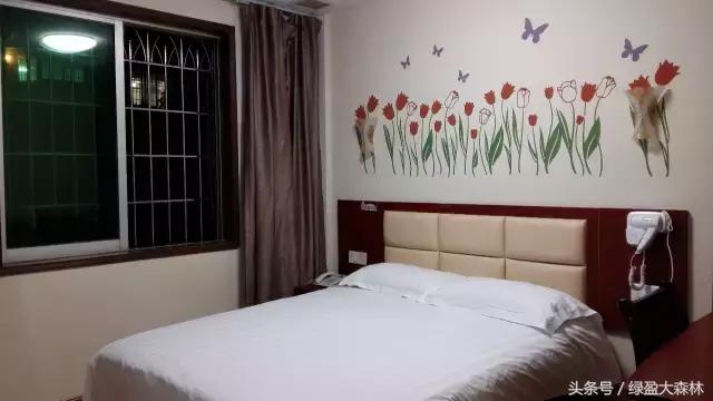 硅藻泥为什么没那么满,2014年最火广告绿森林硅藻泥