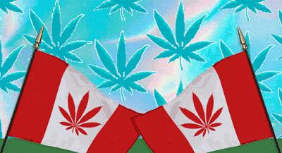 求生欲极强的几个问题,求生欲小技巧