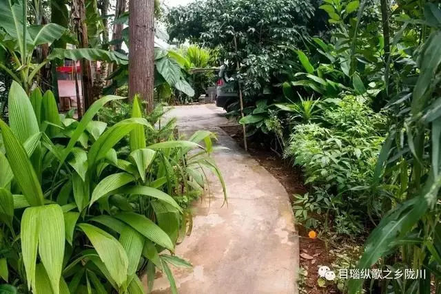 有意思旅游｜酸汤辣子蘸出来的美味，屡屡被各大综艺点名