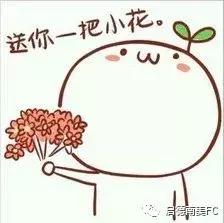 激战！周末赛事启德南美小雄狮以球会友！