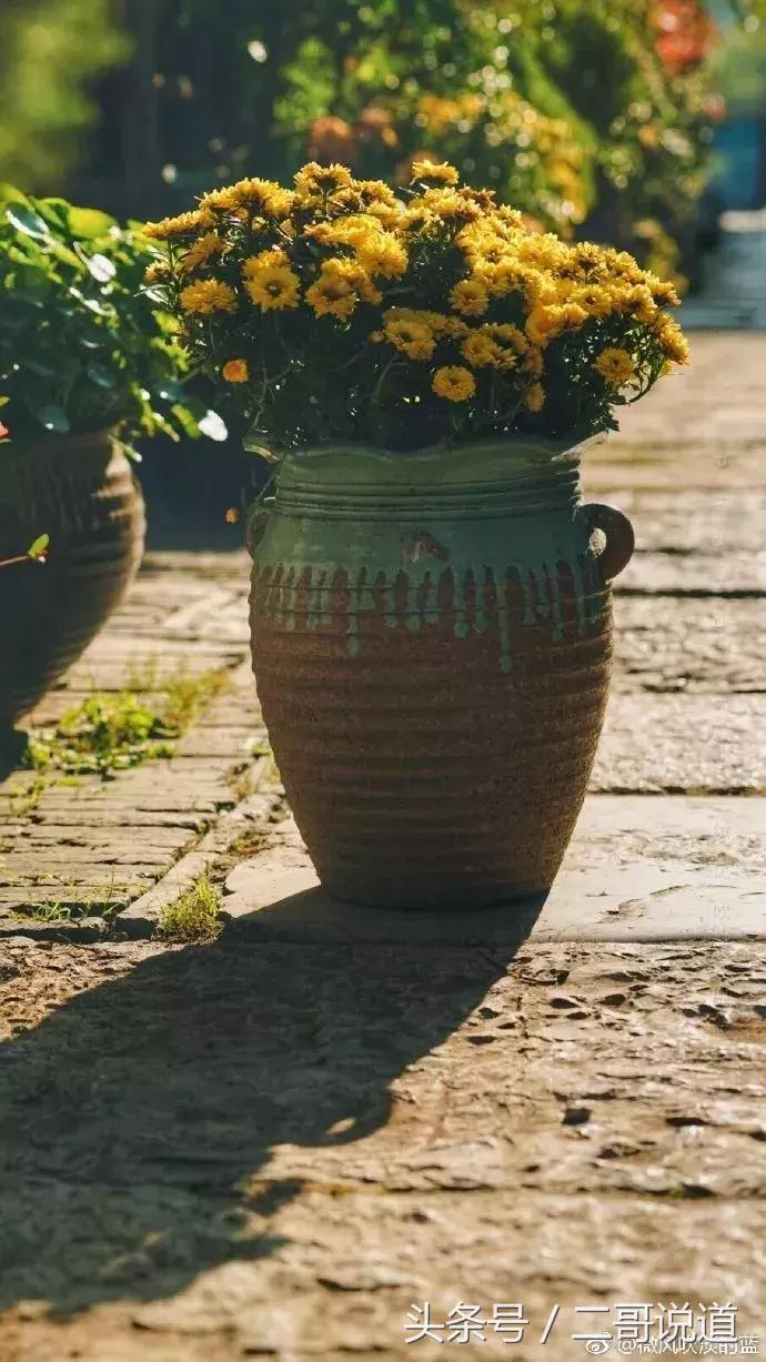 来南京一定要逛逛老门东风景区,南京老门东和老东门