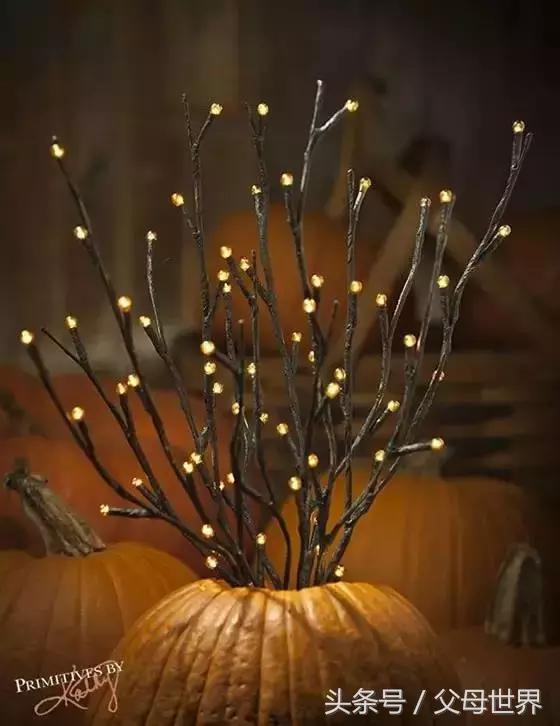 把秋天的落叶变成手工艺术品,秋天大自然手工创意