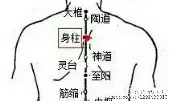 春季养生知识针灸方面,日常针灸养生知识大全集