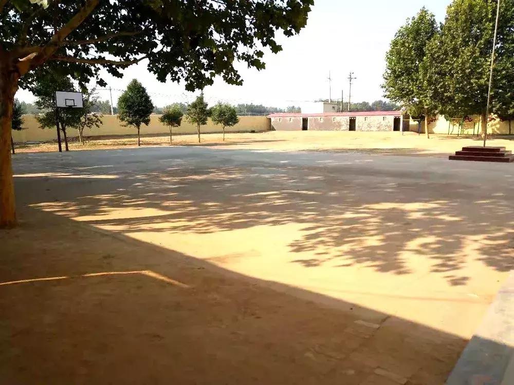 建业杯2019足球联赛,河南建业足球大名单2023年