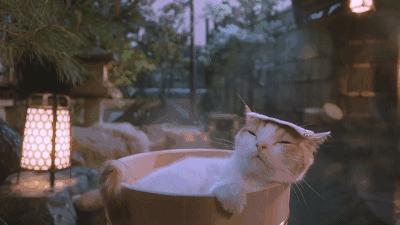 第一批广东真温泉名单出炉,广东33家温泉获泉质等级评定