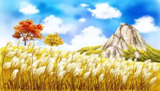 描写雷雨开头景色的唯美句子,描写风雨雷电的300字片段