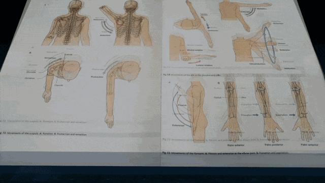 3d快速扫描设备,快速智能扫描