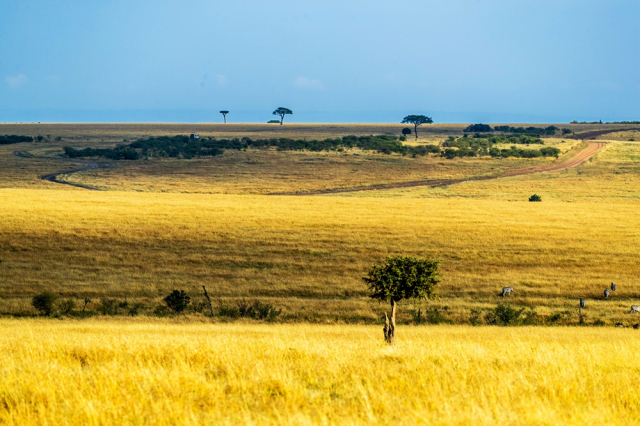 去非洲旅行，如何寻找拍摄题材？