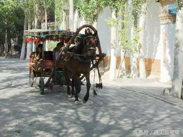 伊犁最美旅游风景区,伊犁旅游攻略探索最美风光