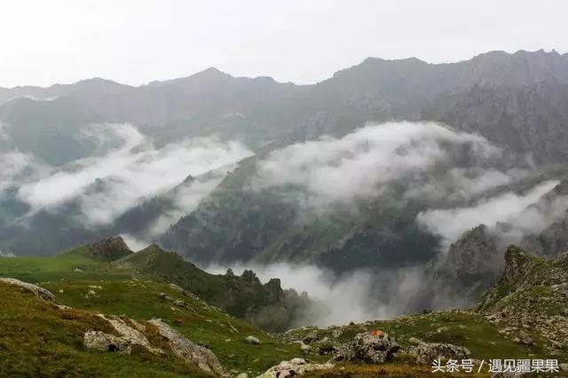 伊犁最美旅游风景区,伊犁旅游攻略探索最美风光