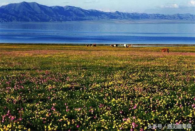 伊犁最美旅游风景区,伊犁旅游攻略探索最美风光