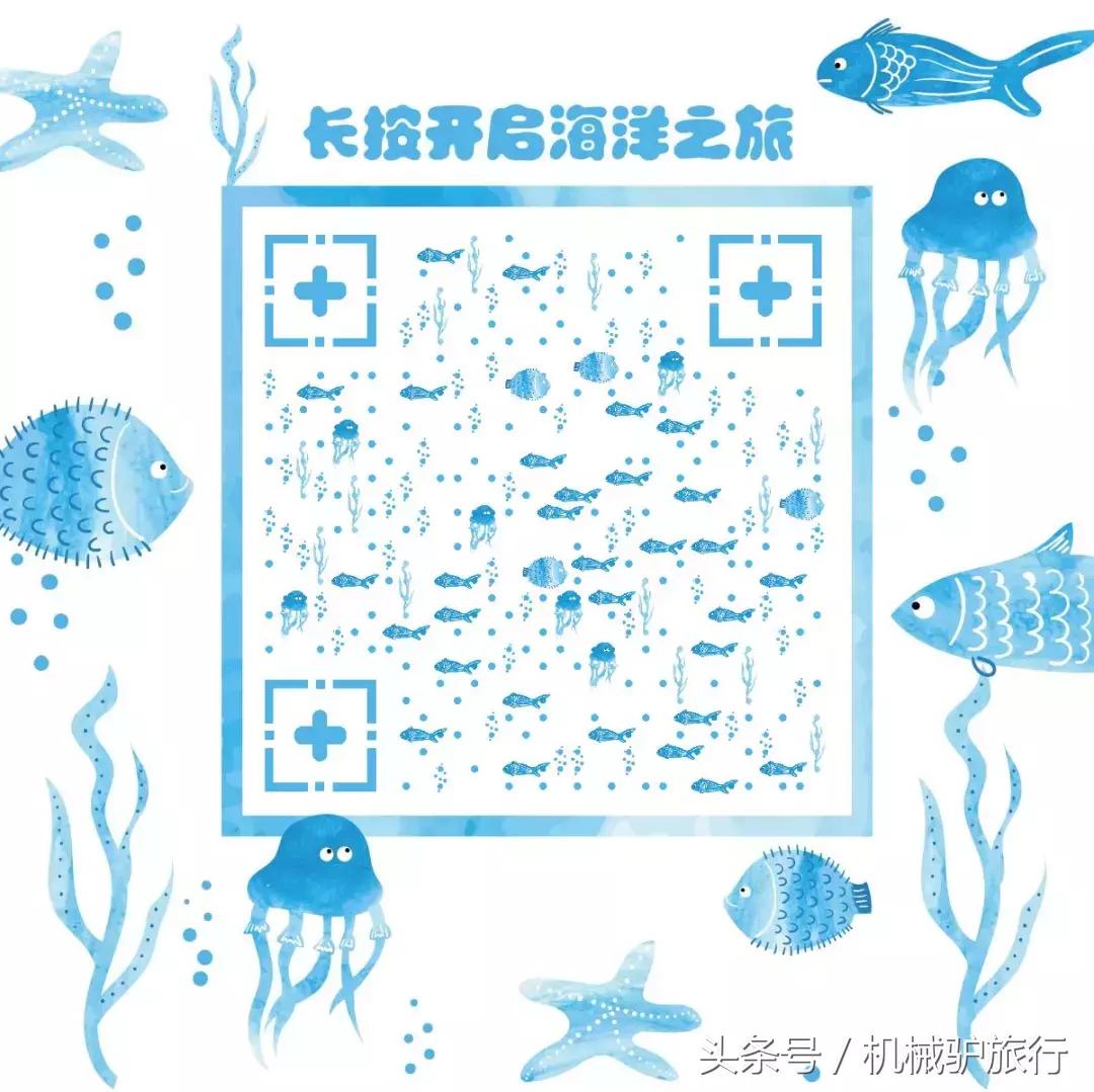 泰国蜜月岛门票,泰国水下婚礼举办视频