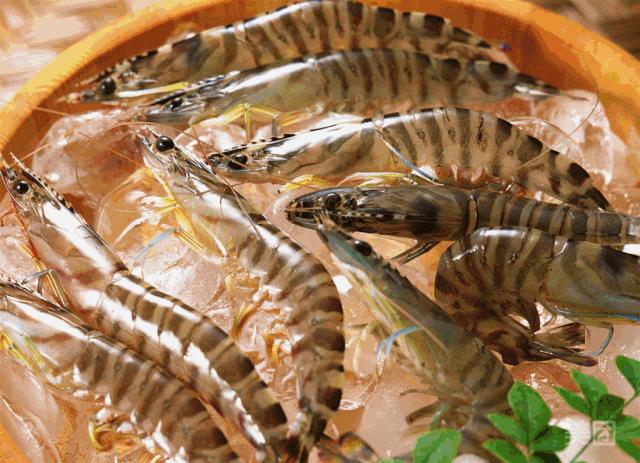 两岸咖啡哪个牛排好吃,两岸咖啡牛排双人套餐